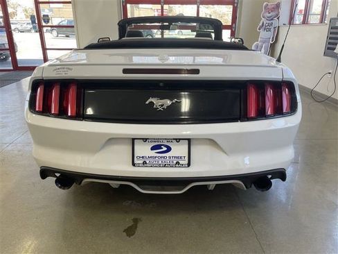Used 2017 Ford Mustang Premium image 6