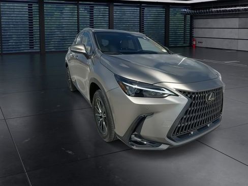 Used 2025 Lexus NX 250 FWD w/ Cold Area Package image 2