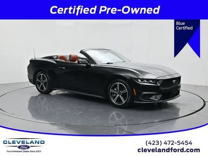 Used 2024 Ford Mustang Convertible
