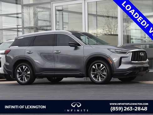 Used 2023 INFINITI QX60 Luxe w/ Cargo Package image 1
