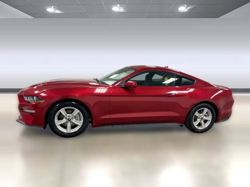 Used 2023 Ford Mustang EcoBoost image 2