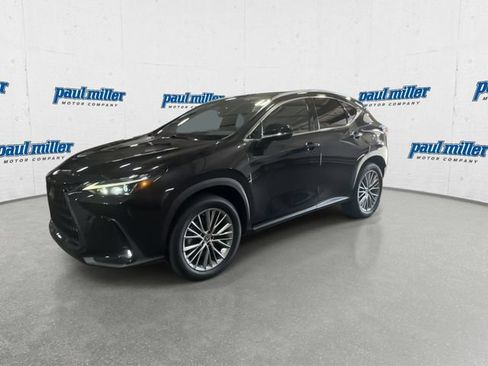Used 2023 Lexus NX 350h AWD image 5