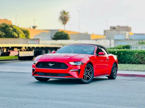 Used 2019 Ford Mustang Premium RWD image 1