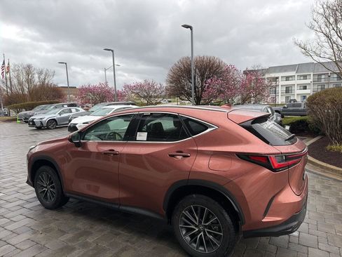 Certified 2025 Lexus NX 350h AWD w/ Cold Area Package image 14