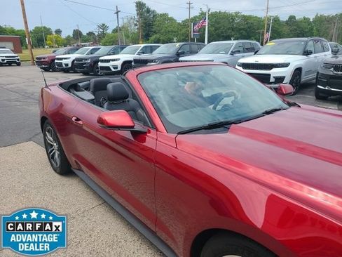 Used 2017 Ford Mustang Premium RWD image 1