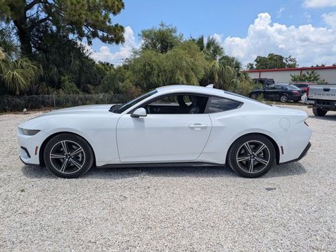 Used 2025 Ford Mustang Coupe RWD image 6