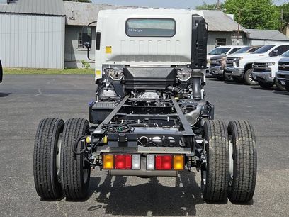 New 2024 Chevrolet Low Cab Forward 5500XD