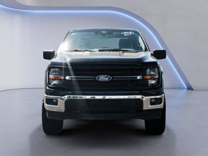 Used 2025 Ford F150 XLT w/ Equipment Group 301A Standard