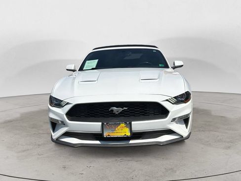 Used 2019 Ford Mustang Premium RWD image 8