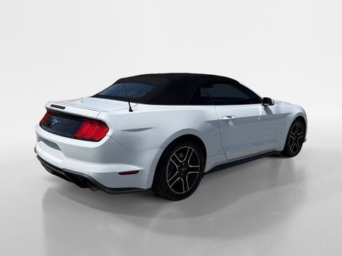 Used 2019 Ford Mustang Premium RWD image 5