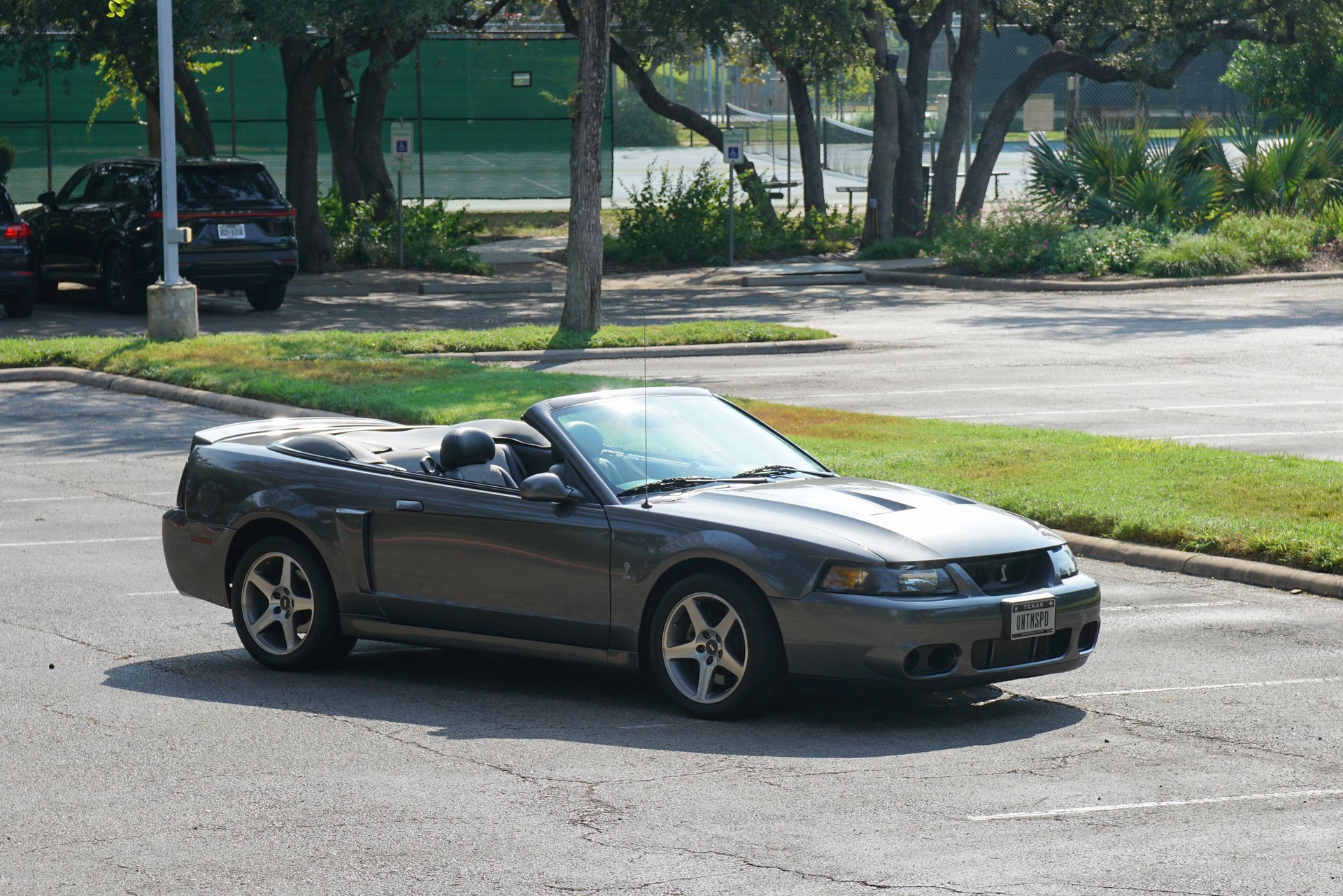 Used 2003 Ford Mustang Cobra RWD image 11