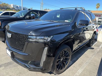 Certified 2024 Cadillac Escalade Sport Platinum w/ LPO, ONYX Package