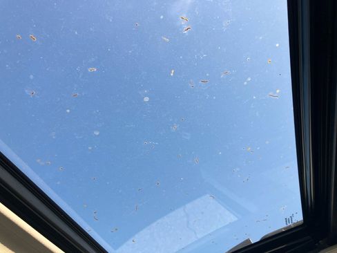 Used 2019 Subaru Outback 2.5i Limited w/ Popular Package #2 image 24