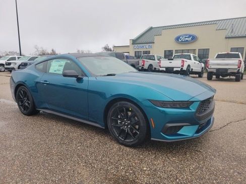 New 2026 Ford Mustang EcoBoost w/ Mustang Nite Pony Package image 18