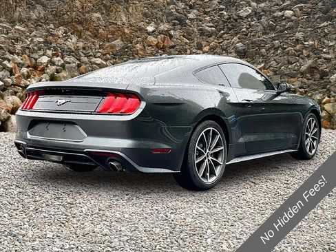 Used 2019 Ford Mustang Coupe w/ Equipment Group 101A RWD image 2