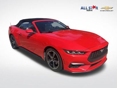 Used 2024 Ford Mustang Premium