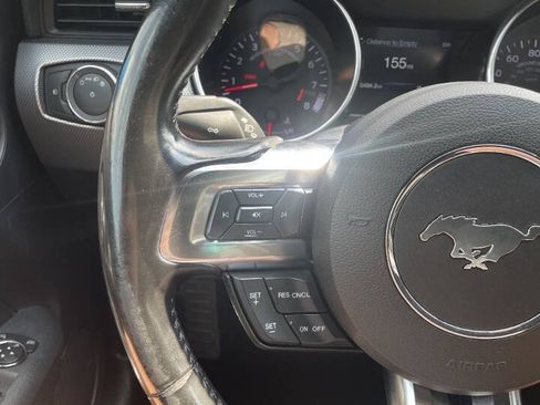 Used 2019 Ford Mustang GT w/ Equipment Group 301A RWD image 18
