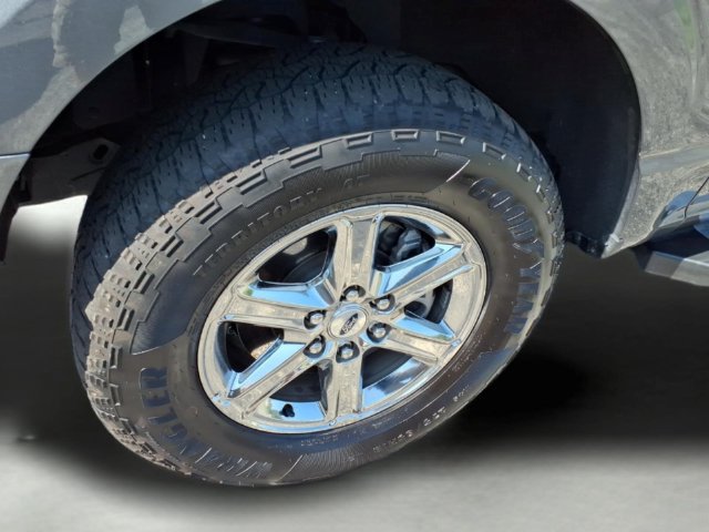 Used 2025 Ford F150 XLT w/ Equipment Group 301A Standard AWD/4WD image 7