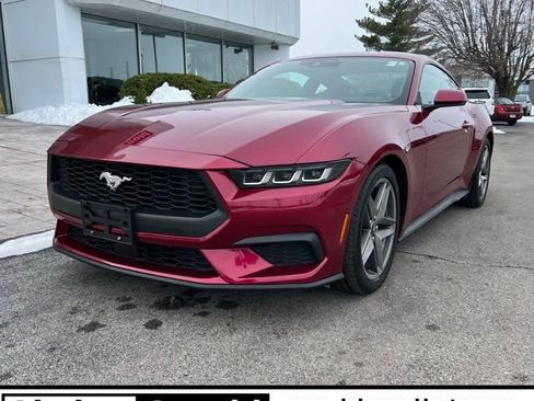 Used 2025 Ford Mustang Coupe image 1