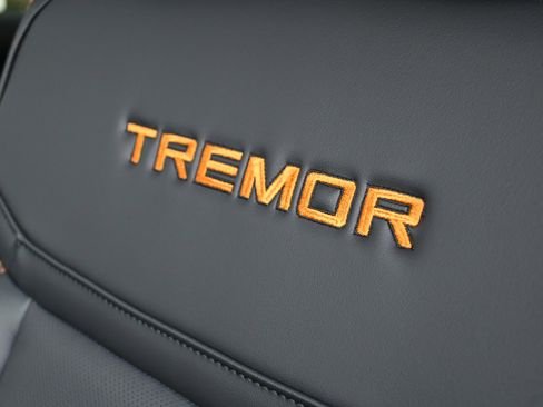 New 2026 Ford Expedition Tremor image 17