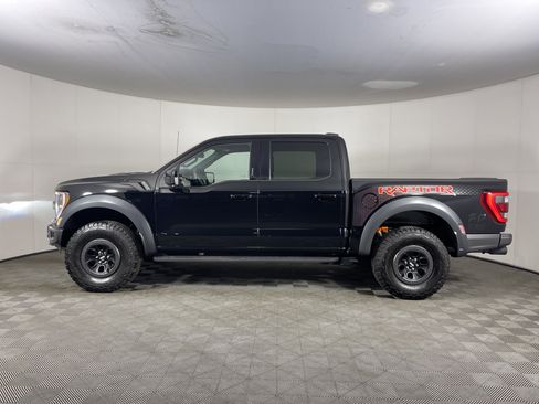 Used 2023 Ford F150 Raptor w/ Blue Interior Package image 3