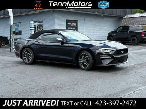 Used 2018 Ford Mustang Premium w/ Equipment Group 201A RWD image 5