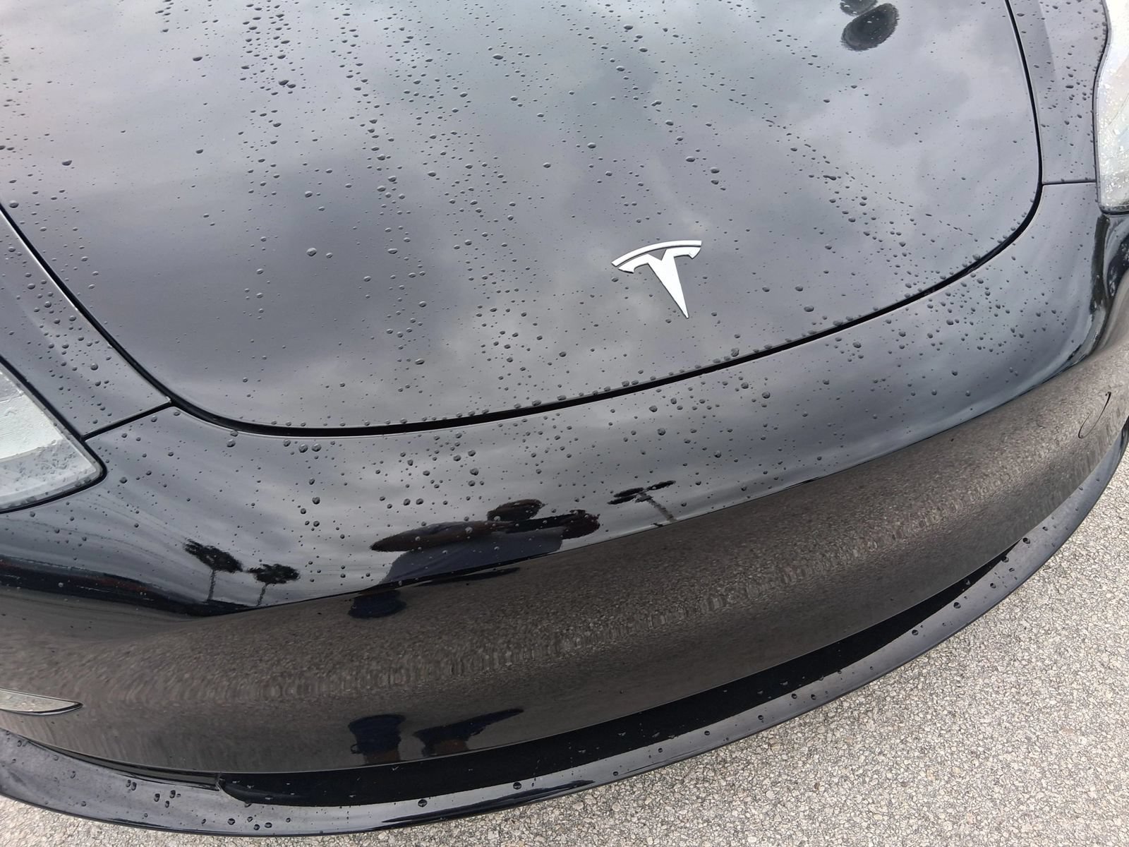 Used 2023 Tesla Model 3 Standard Range RWD image 19
