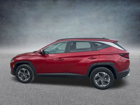 Used 2025 Hyundai Tucson Blue AWD/4WD image 34