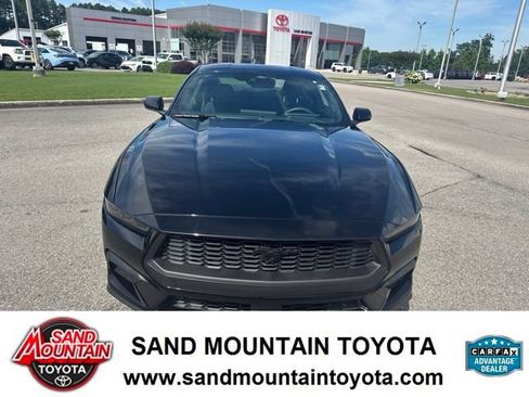 Used 2025 Ford Mustang Coupe w/ Mustang Nite Pony Package RWD image 8