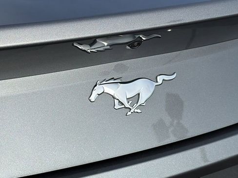 Used 2024 Ford Mustang Premium image 11
