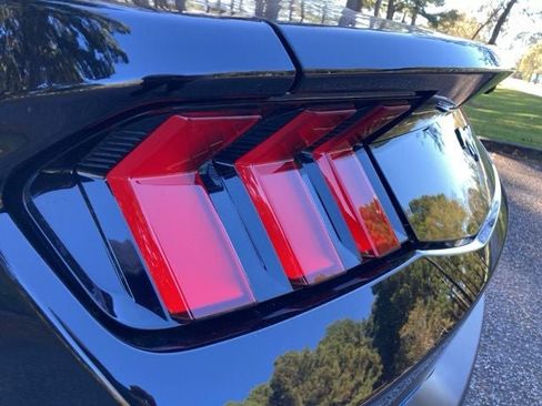 New 2026 Ford Mustang Coupe image 13