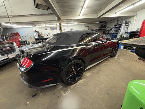 Used 2019 Ford Mustang Premium w/ Equipment Group 201A image 2