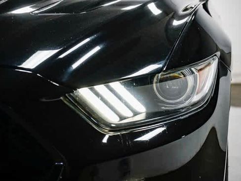 Used 2016 Ford Mustang GT Premium w/ Equipment Group 401A image 7