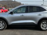 Used 2022 Ford Escape SE w/ Cold Weather Package image 3