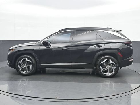 Used 2024 Hyundai Tucson Limited AWD/4WD image 3