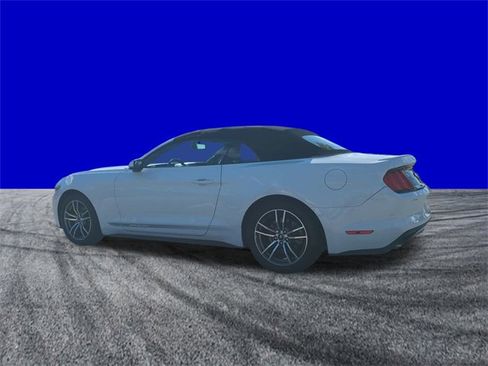 Used 2017 Ford Mustang Premium image 6