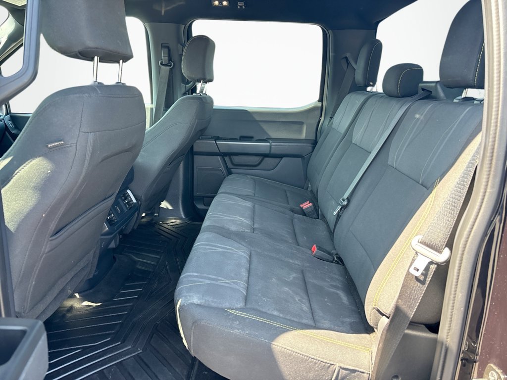 Certified 2024 Ford F150 STX w/ STX Black Appearance Package AWD/4WD image 19