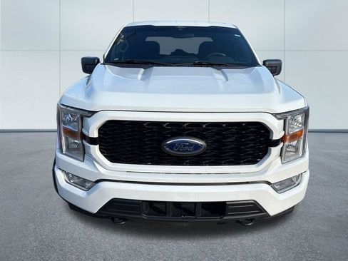 Used 2021 Ford F150 XL w/ STX Appearance Package AWD/4WD image 6