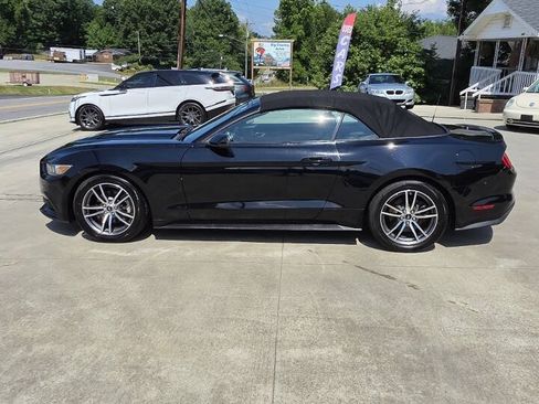 Used 2017 Ford Mustang Premium RWD image 9