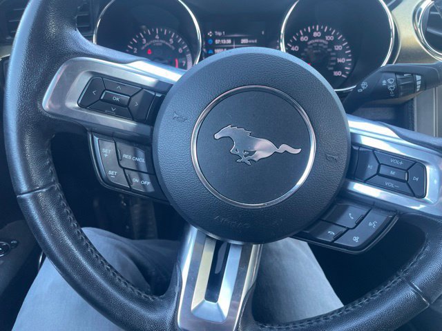 Used 2016 Ford Mustang GT Premium w/ Equipment Group 401A RWD image 12