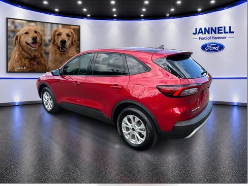 Used 2025 Ford Escape Active w/ Active Premium Tech Pack AWD/4WD image 8