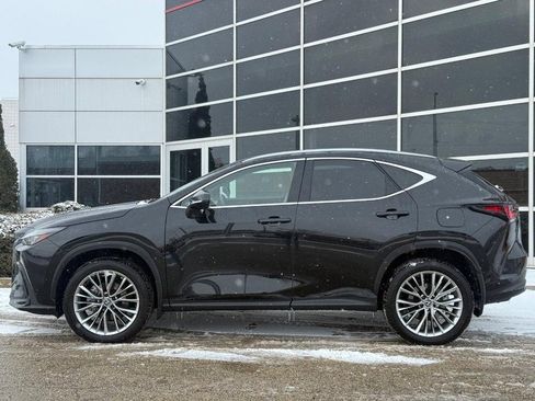 Used 2025 Lexus NX 350h AWD w/ Premium Package image 7