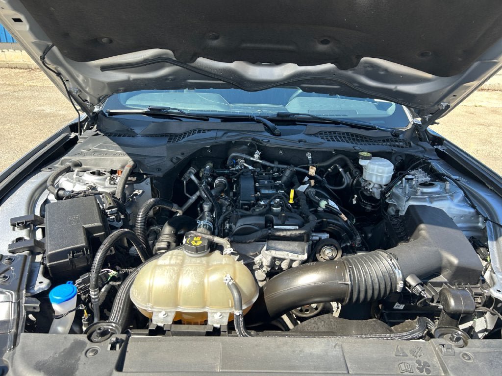 Used 2023 Ford Mustang Premium w/ Equipment Group 201A RWD image 30