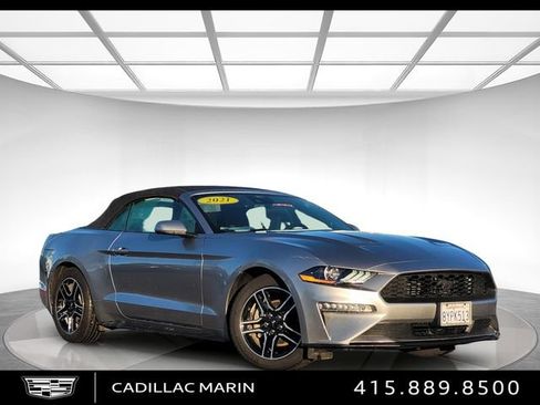 Used 2021 Ford Mustang Premium w/ Ford Safe & Smart Package image 1