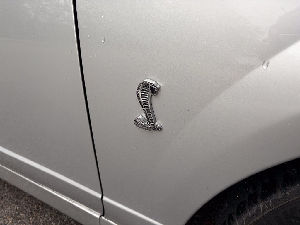 Used 2004 Ford Mustang Cobra RWD image 40