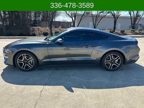 Used 2019 Ford Mustang Coupe w/ Equipment Group 101A image 2