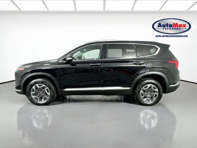 Used 2023 Hyundai Santa Fe Blue AWD/4WD image 8