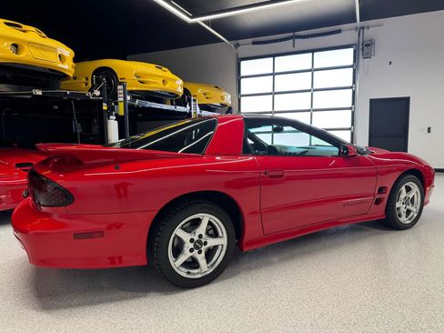 Used 2001 Pontiac Firebird Formula w/ Protection Group RWD image 11