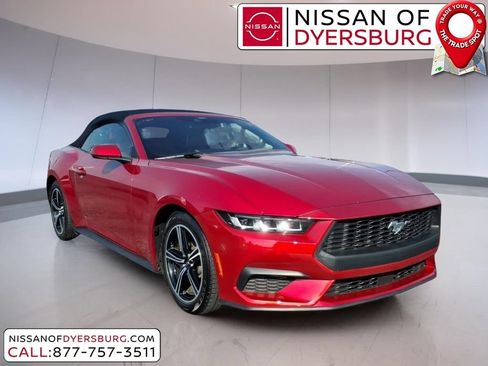 Used 2024 Ford Mustang Premium RWD image 1