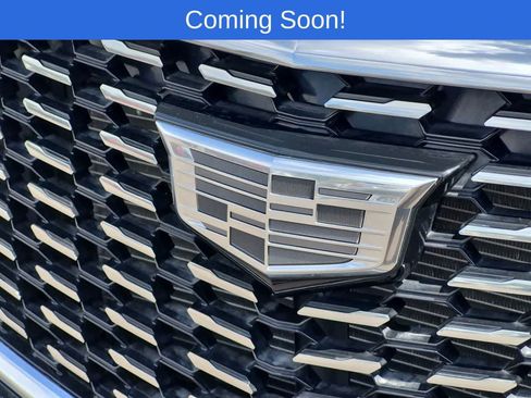 Used 2024 Cadillac XT5 Premium Luxury AWD/4WD image 11